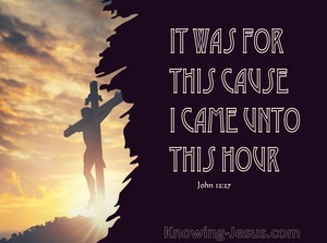 John 12:27